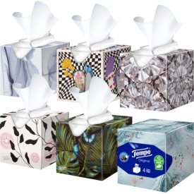 Tempo Taschentücher Box Tempo Taschentücher Box