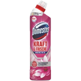 Domestos WC-Reiniger Gel Kraft & Frische Floral Fresh Domestos WC-Reiniger Gel Kraft & Frische Floral Fresh