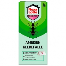 Nexa Lotte Ameisen Leimfalle Nexa Lotte Ameisen Leimfalle