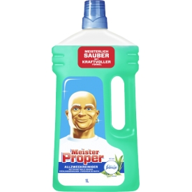 Meister Proper Allzweckreiniger Frühlingerwachen