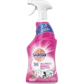 Sagrotan Allzweck Reiniger Blütenfrische